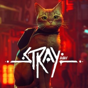 کاور بازی Stray برای PS4 و PS5 – Region TR