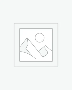 پلی استیشن 4